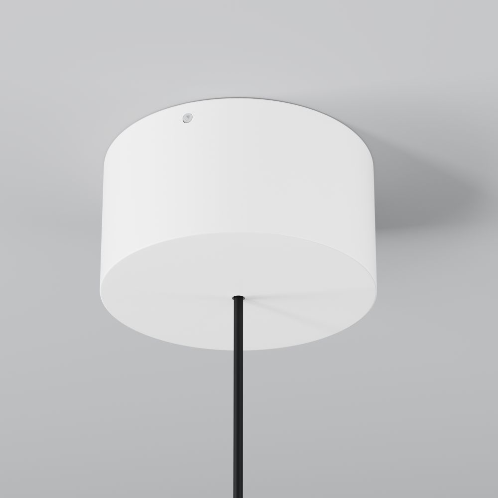 Уличный подвесной светодиодный светильник Maytoni   O491PL-L8W3K