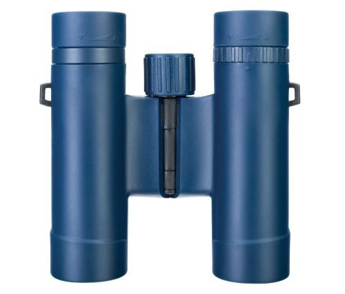 Бинокль Levenhuk Discovery Elbrus 10x25