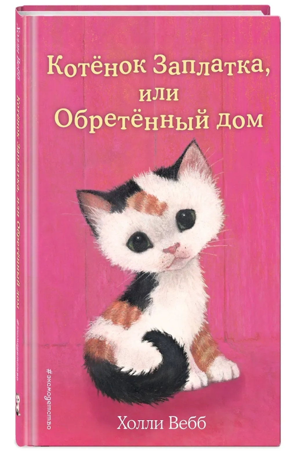 Котенок Заплатка, или Обретенный дом (выпуск 47)
