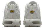 Кроссовки A-Cold-Wall* X Nike Air Max Plus "Stone"