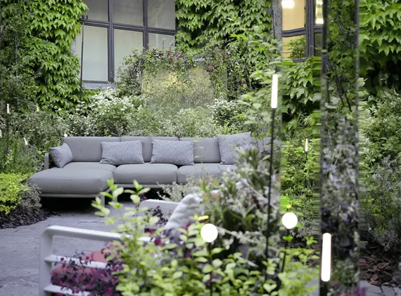 Maximo Elemento Centrale