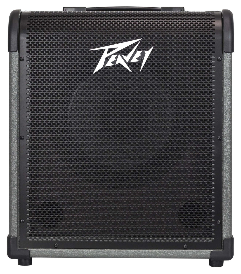 Peavey MAX 100