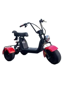 Электроскутер GT Citycoco X5 Trike