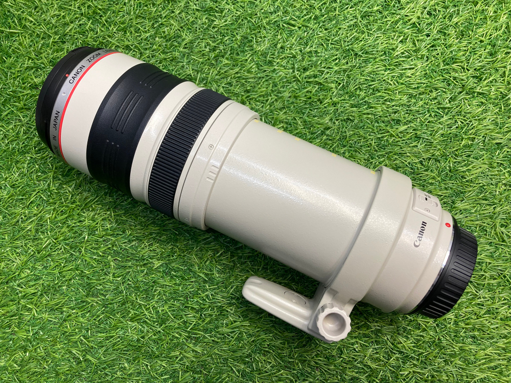 Canon EF 35-350mm f/3.5-5.6L USM