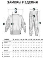 Спортивный костюм для мальчика, свитшот и брюки