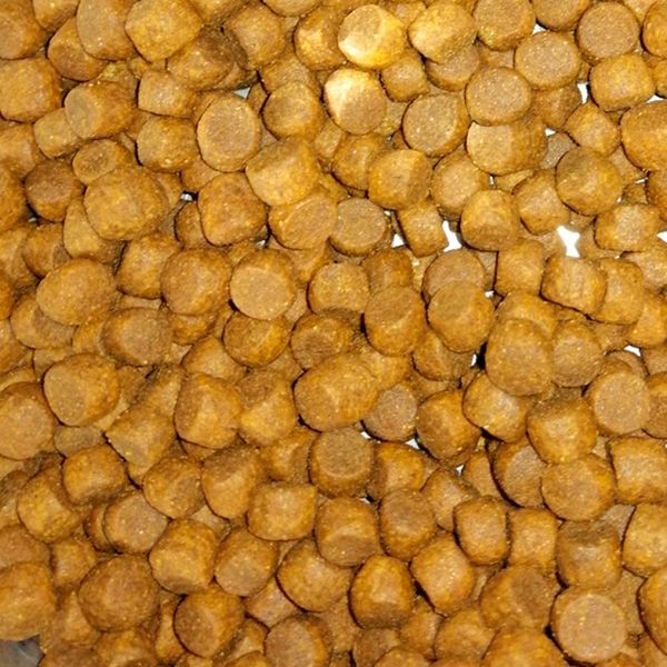 Сухой корм ProBalance Immuno Adult Small&Medium для взрослых собак малых и средних пород