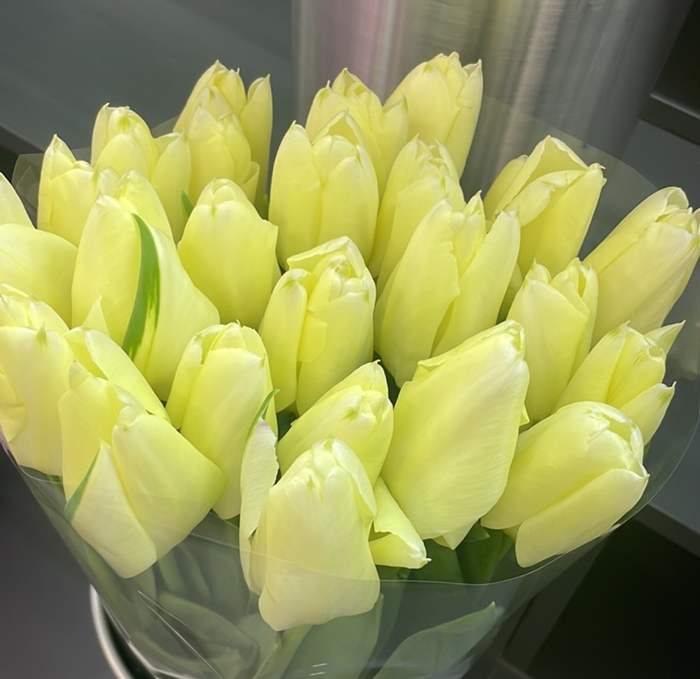 27 белых/сливочных тюльпанов