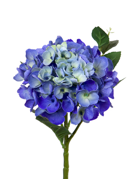 Гортензия крупнолистная small на стебле - Синий