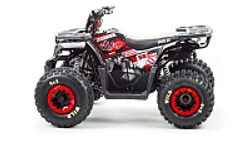 Квадроцикл PROMAX WILD 175