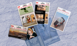 The Art Newspaper Russia №05 (142) июнь 2026