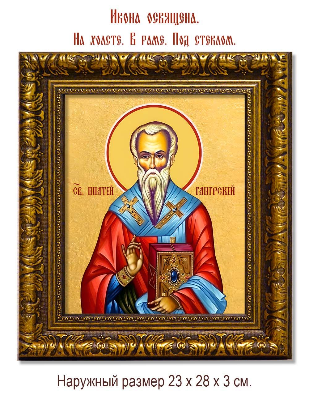 Ипатий епископ Гангрский чудотворец. Икона на холсте.