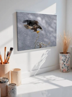 Картина на стену 40 X 50 Орел