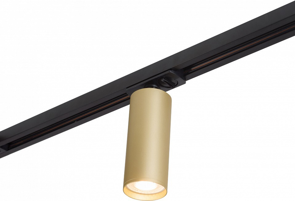 Трековый светильник Denkirs DK6202-BG