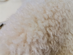 Искусственный мех Alpaka beige / Альпака бейж