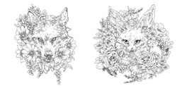 Hachette  раскраска по номерам  Les créatures de Ken Matsuda - Livre de coloriage