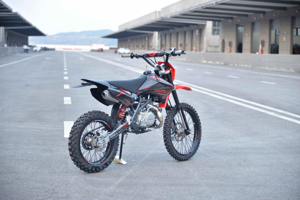 Мотоцикл REGULMOTO Seven Medalist Pro 19/16 PITBIKE