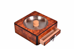 Lubinski Вяз EF2220