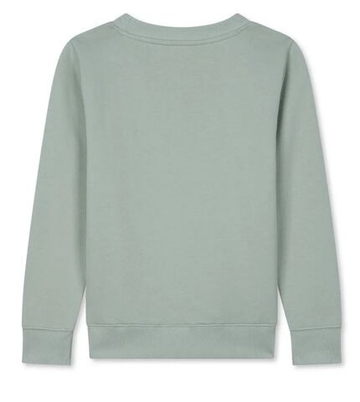 Кофта для мальчика теннисная Roland Garros Kids Sporty Chic Titouan - зеленая