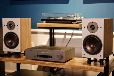 Полочная акустика Dali Oberon 3