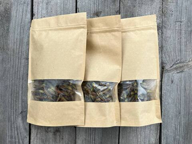 Тополиные почки