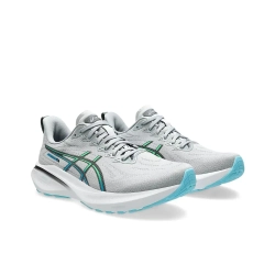 Мужские кроссовки ASICS GT-2000 13 'Piedmont Grey Black' 1011B861-020