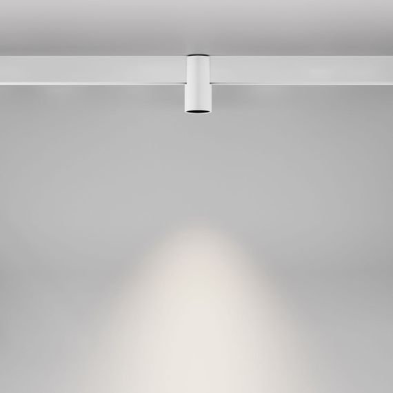 Трековый светодиодный светильник Maytoni Technical Magnetic Exility Alfa TR122-2-7W4K-W