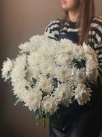 Хризантема одноголовая (Белая)