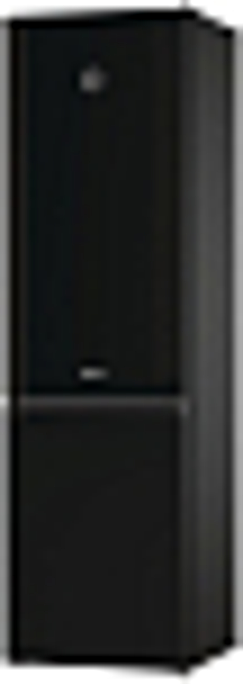 Отдельностоящий двухкамерный холодильник Gorenje RK6201SYBK