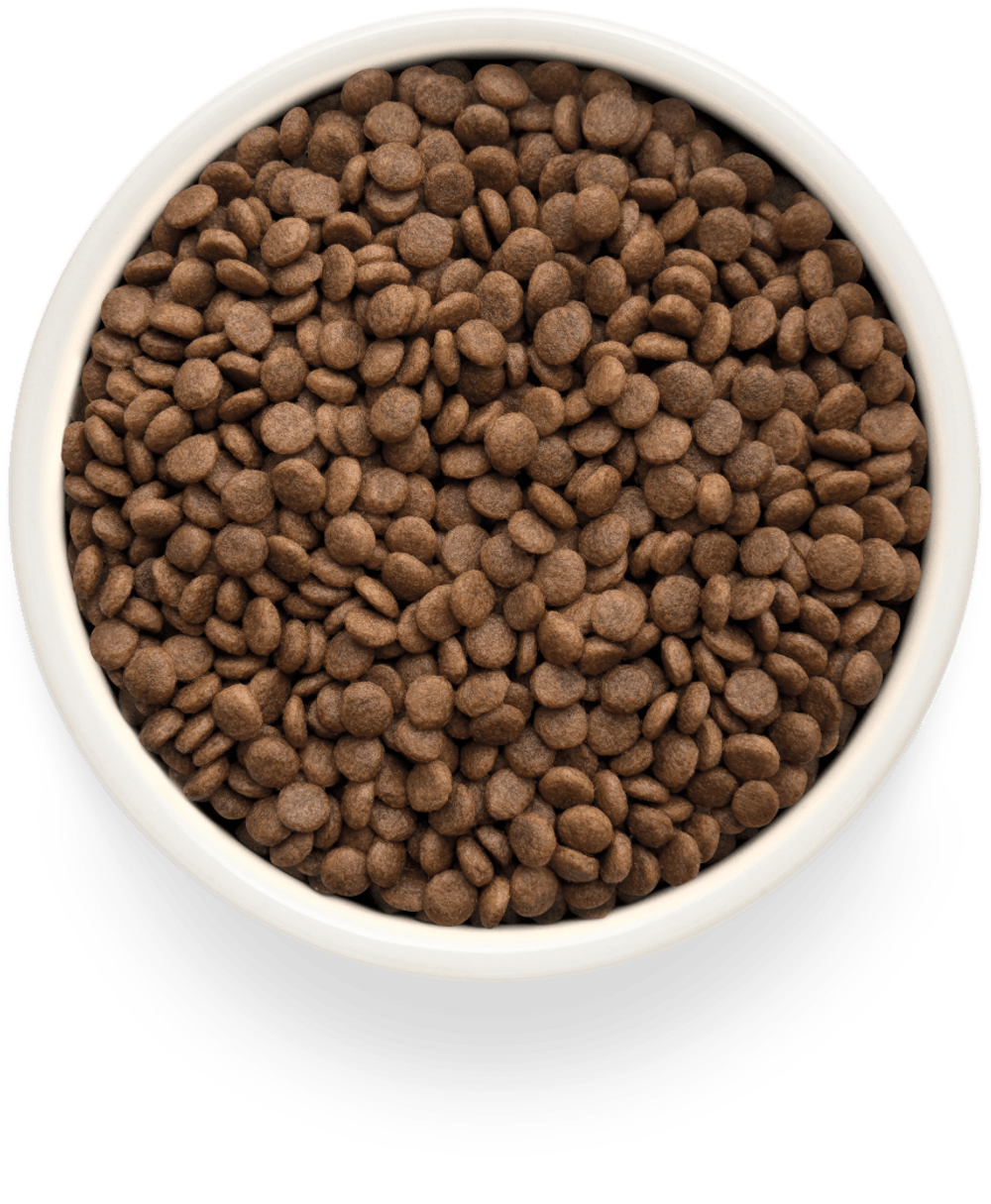 Grandorf Fresh Cat Potato корм сухой беззерновой для стерилизованных кошек утка,батат
