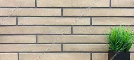 Ригельная плитка Rondine Arenosa Beige 450x48x9,5