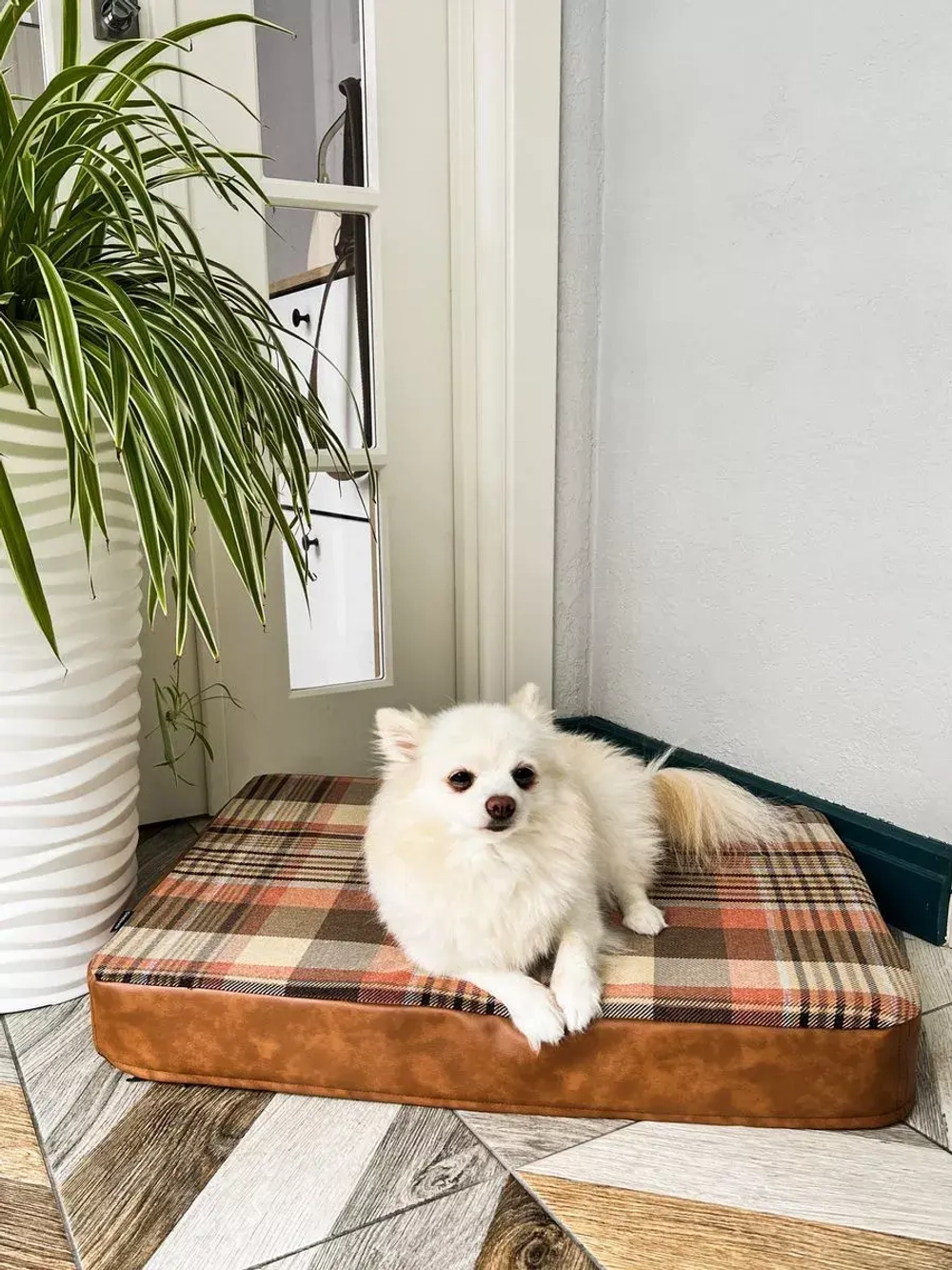 Лежак для собак ортопедический 70*50см