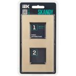 SKANDY Рамка 2-местная SK-F32Sh металл шампань IEK
