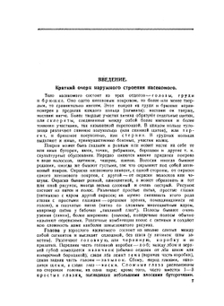 Наши насекомые. Краткий определитель наиболее обычных насекомых Европейской части союза ССР | Н.Н. Плавильщиков
