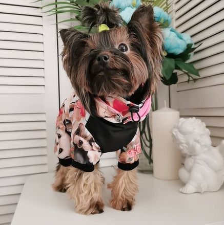 Демисезонные комбинизоны