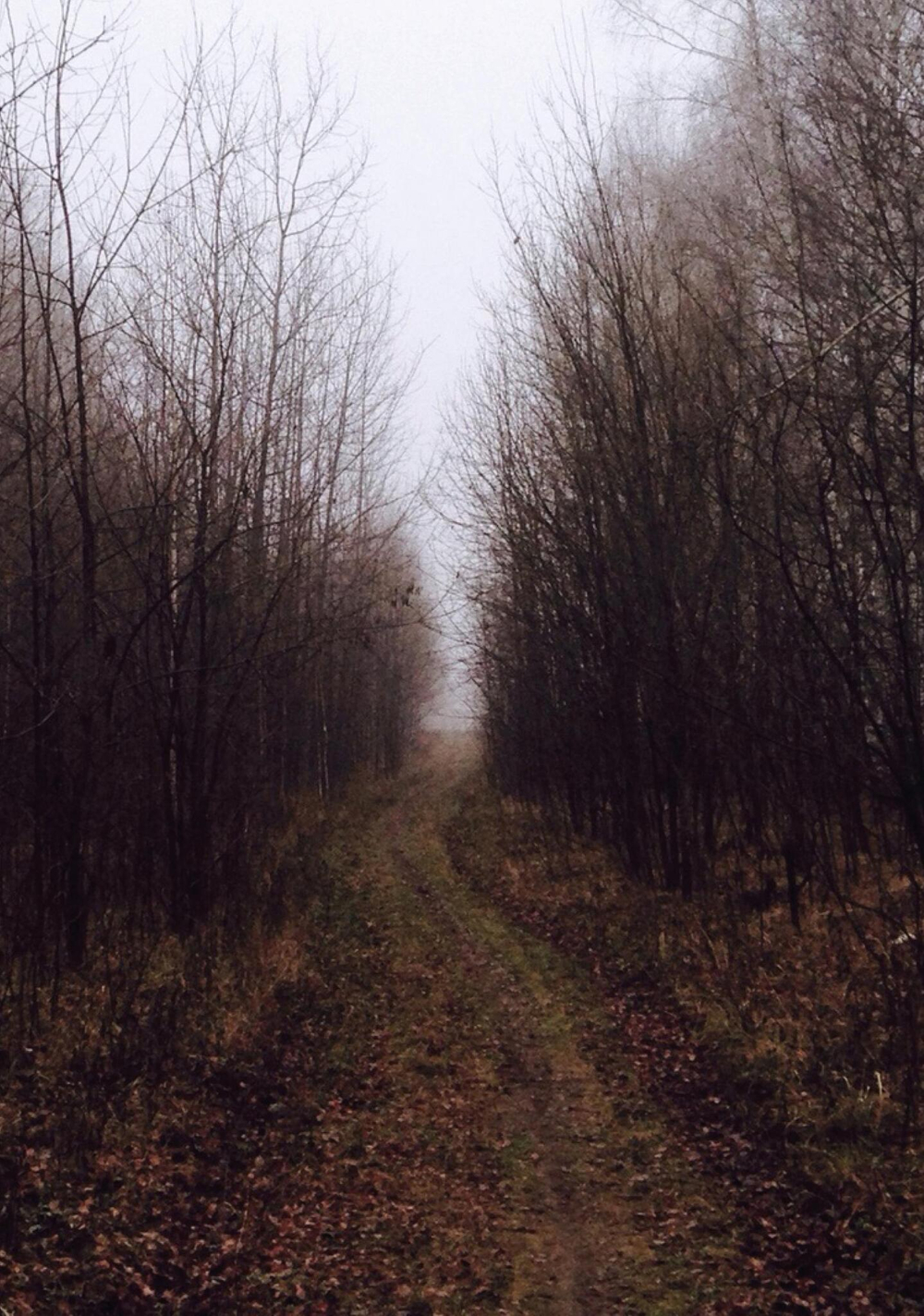 LoMECHUZZZA. Сборник стихов (PDF)