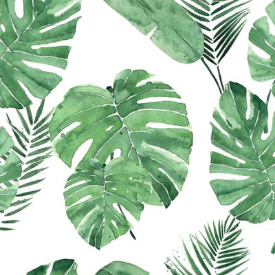 Tropical aesthetics