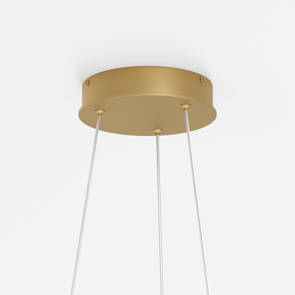 Подвесной светодиодный светильник Maytoni Rim MOD058PL-L54BSK