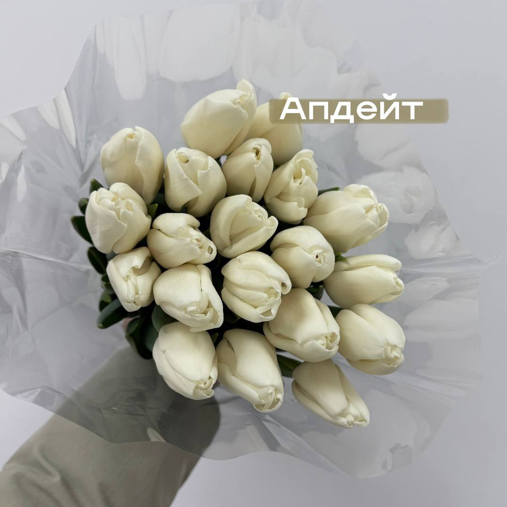Белый тюльпан Апдейт 1шт поштучно