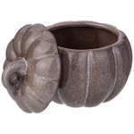 Набор горшочков для запекания с крышкой "Тыква" 2шт 250мл, коллекция "Il raccolto"