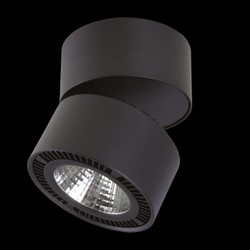 Спот Lightstar 213817