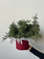 Коробка из нобилиса