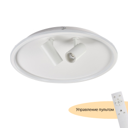 Потолочный светодиодный светильник с пультом со спотами MyFar Focus MR9050-CL