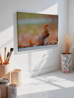 Картина на стену 40 X 50 Белка