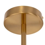 Потолочная люстра Citilux Ronny CL242193