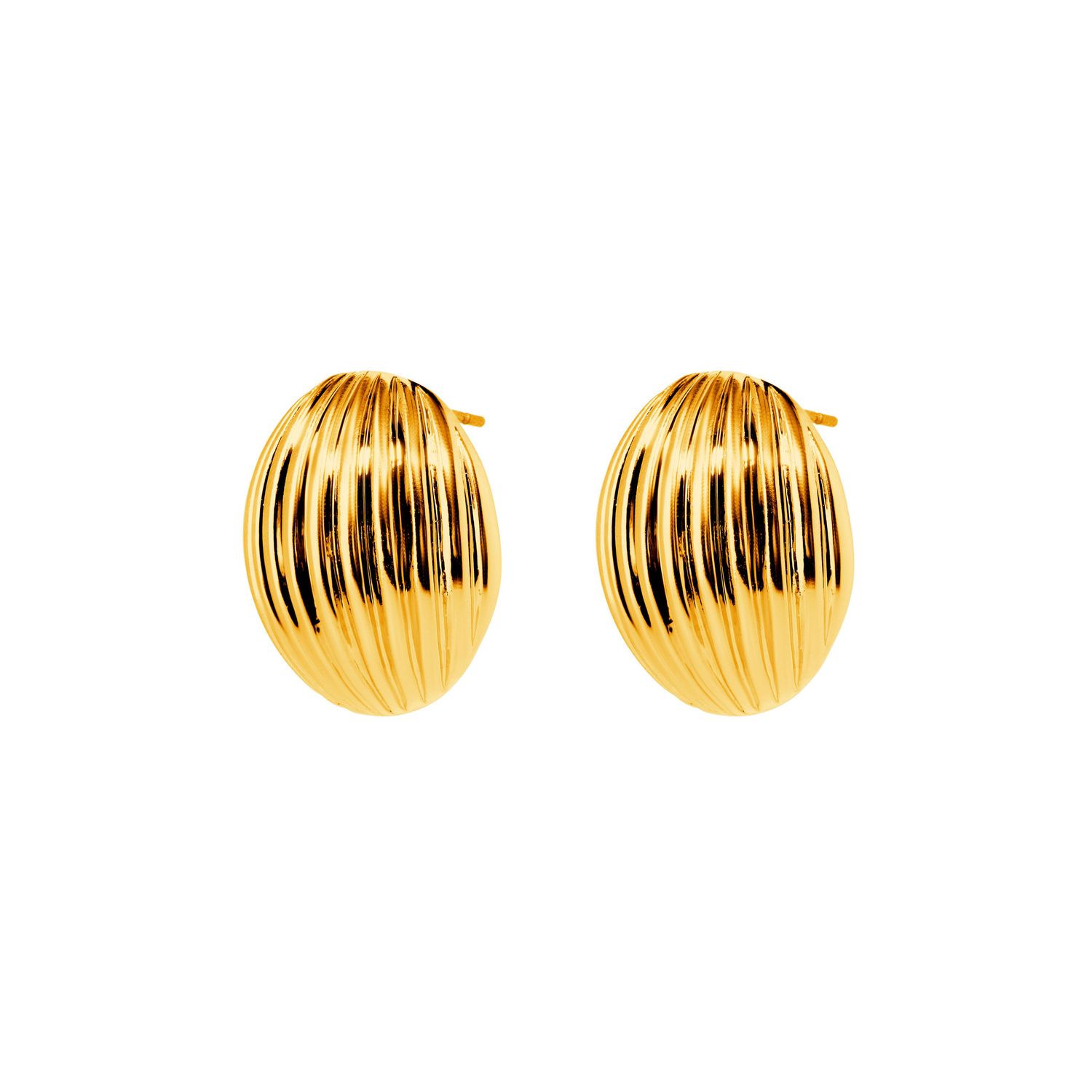 Серьги Round Shell Earrings – Gold