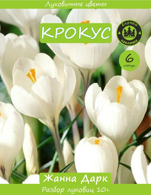 Крокус Луковица, Жанна Дарк, 6шт