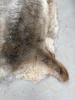 Шкура коврик меховой прикроватный овчина, 120х65 см.