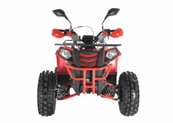 Квадроцикл Wels Thunder EVO X