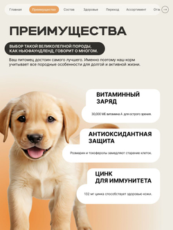 Корм сухой для щенков породы Лабрадор ретривер, с индейкой, 3 кг, QUATTRO