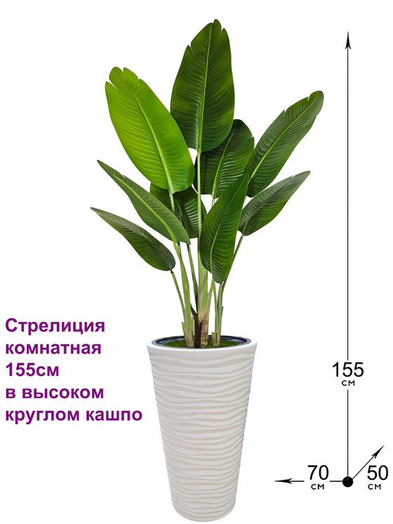 Искусственная Стрелиция комнатная 155см в высоком круглом кашпо
